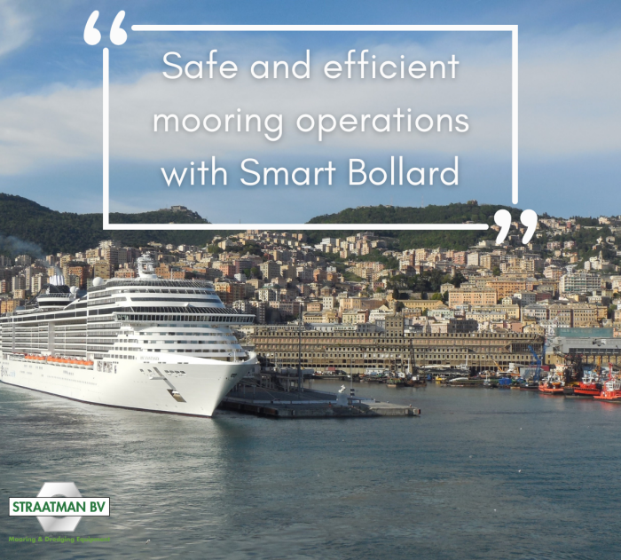 Smart Bollard for cruise terminals